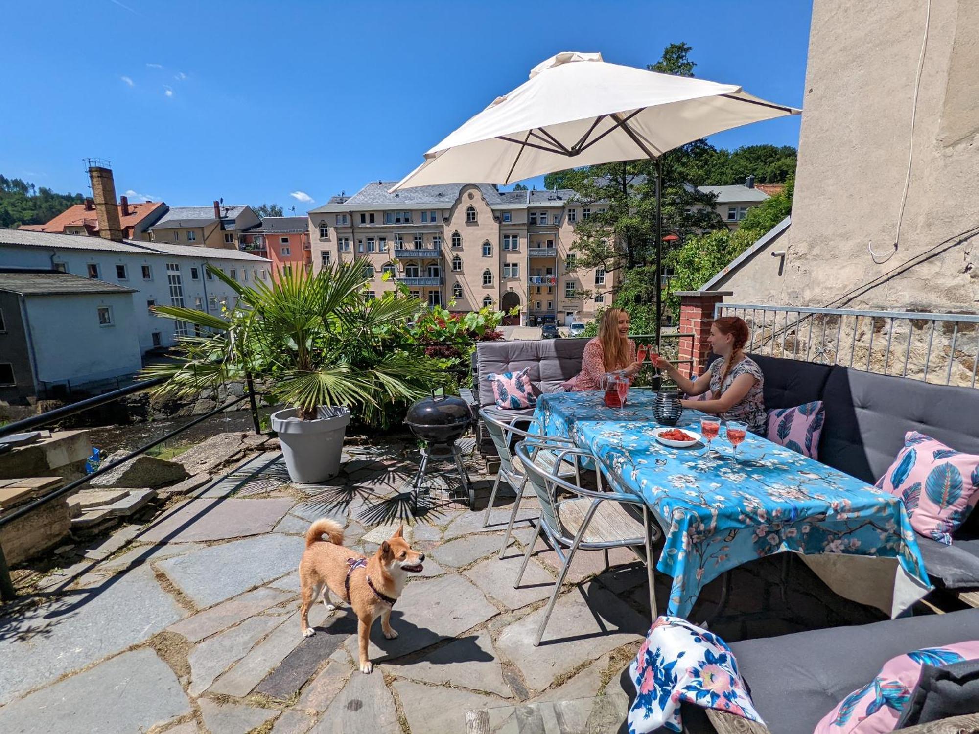 Uo2 - Urlaubsmagie - Garten, Whirlpool, Sauna Διαμέρισμα Sebnitz Εξωτερικό φωτογραφία